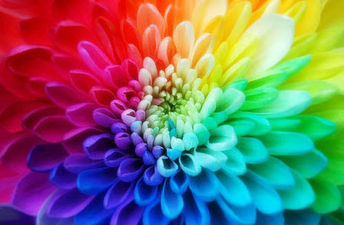 Amazing Colors !!! - Vocabulary | OER Commons