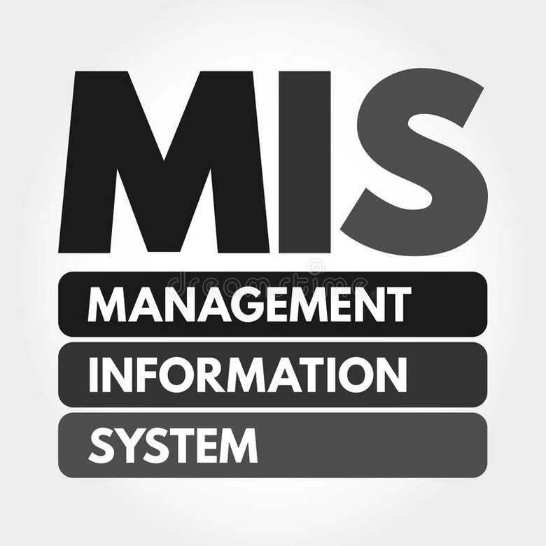 Management Information System