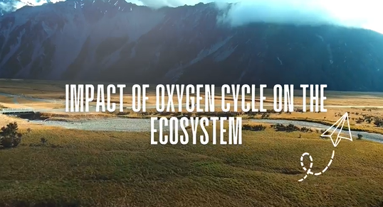 Oxygen Cycle