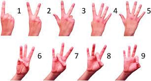 Basic ASL Number Signs (Single digits)