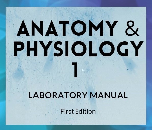 Anatomy & Physiology 1 Lab Manual