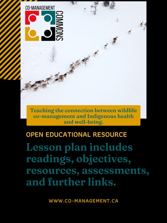 Teaching the connection between wildlife co-management and Indigenous health and well-being.