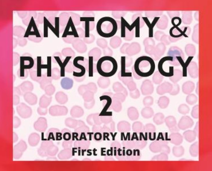 Anatomy & Physiology 2 Lab Manual