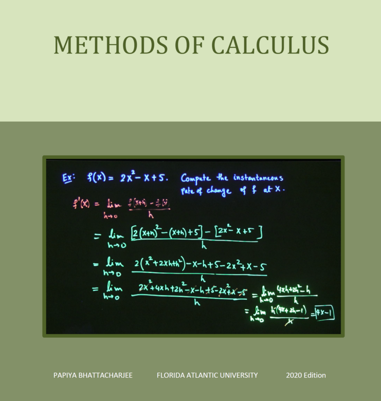 Methods of Calculus eText