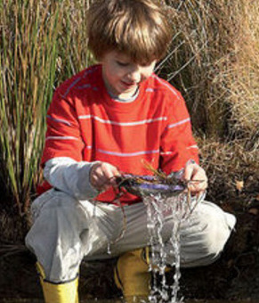 PEI ELA Performance Task SBAC (Grade 5): Marine Debris