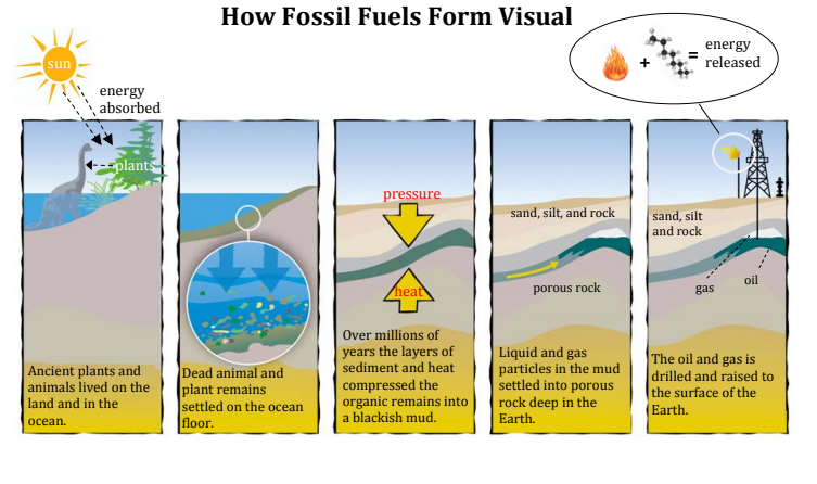Fossil Fuel Formation | Earth Systems