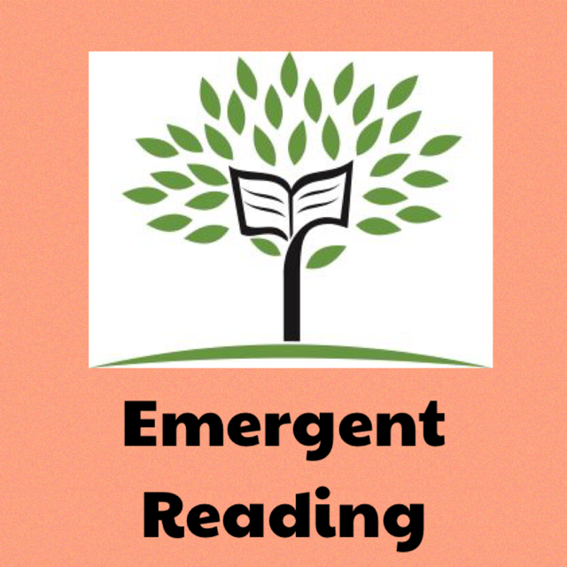 Unlocking Literacy for Students with Disabilities: Module 3 of 4 - Emergent Reading