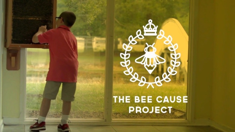 About the Bee Cause Project