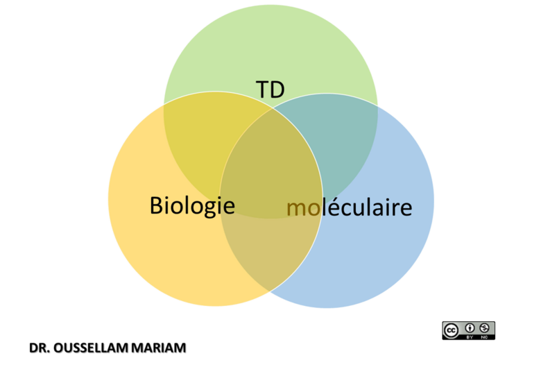 QCM de révision de biologie moléculaire