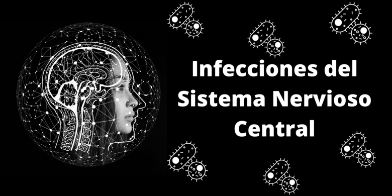 Infecciones del Sistema Nervioso Central