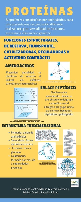 Proteínas (Bioquímica)