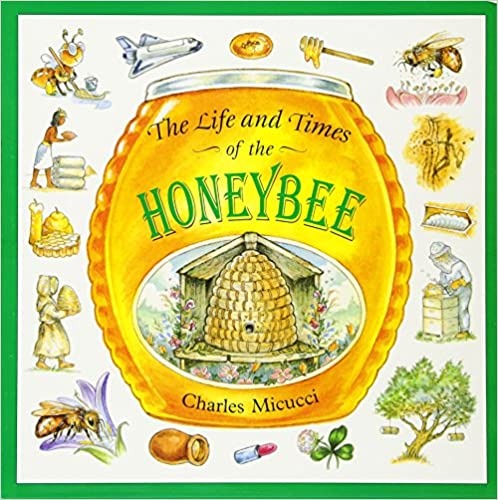 The Life and Times of the Honeybee by Charles Micucci