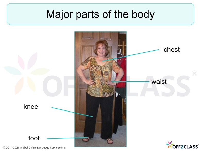 Vocabulary For ESL Students – The Body - Off2Class Lesson Plan