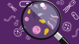 MICROBIOLOGÍA PARA ESTUDIANTES DE ENFERMERÍA