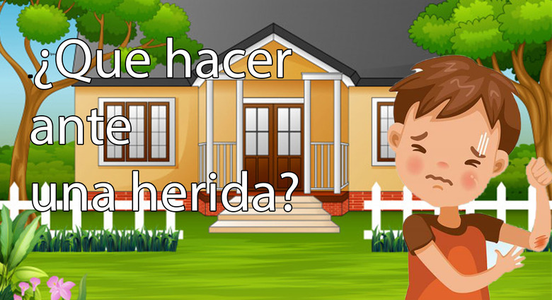 Guía de orientación del que hacer ante una herida en el ámbito Escolar