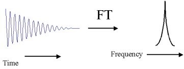 FT NMR