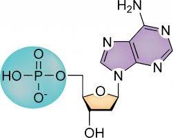 Organic Chemistry