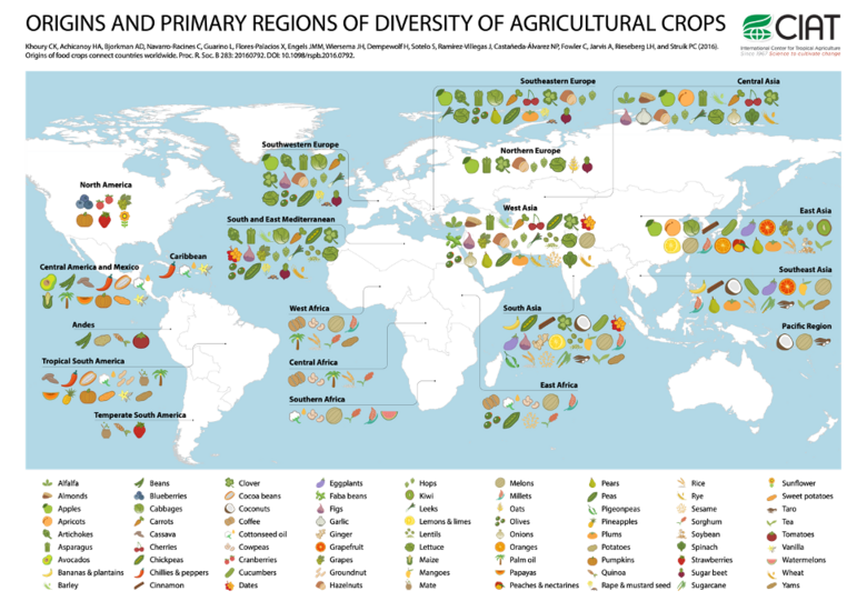 The Origin, Evolution, and Diversity of Horticulture Crops