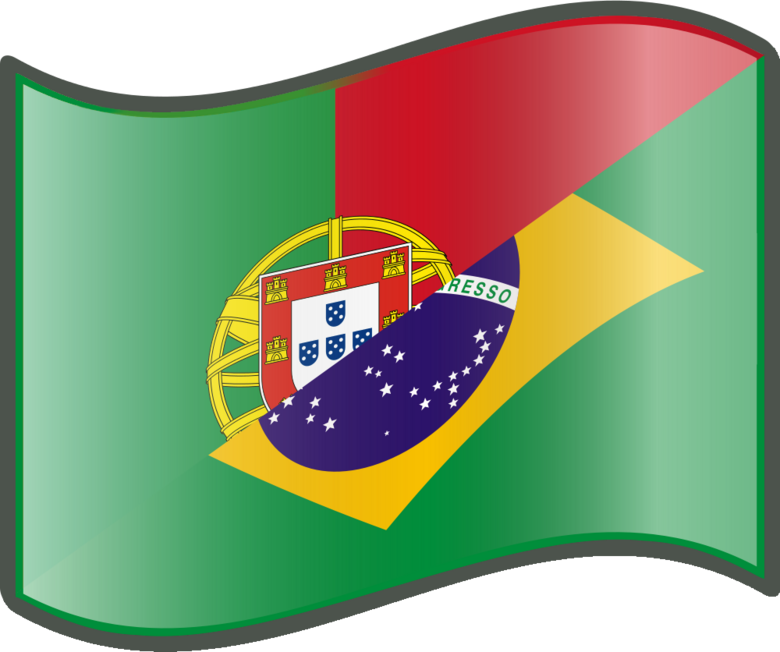 Introductory Portuguese