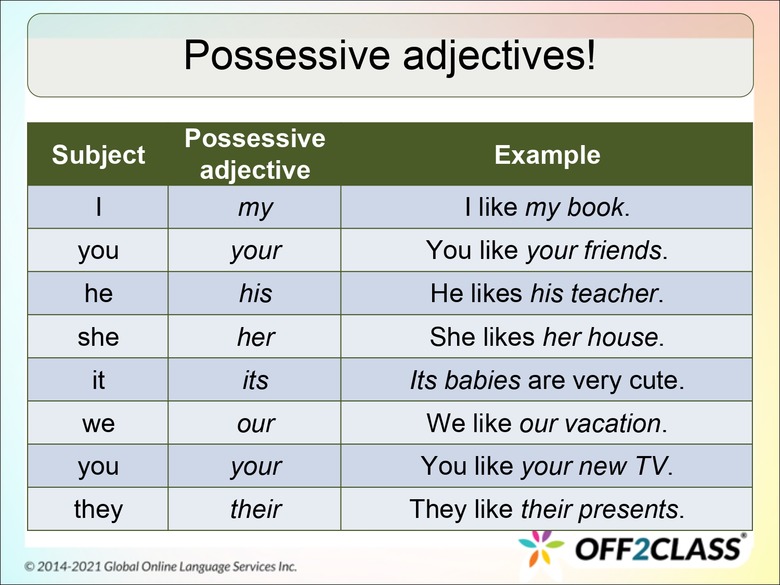 How To Teach Possessive Adjectives In A Fun Way - ESL Lesson Plan