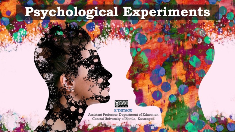 Psychological Experiments - Practicum