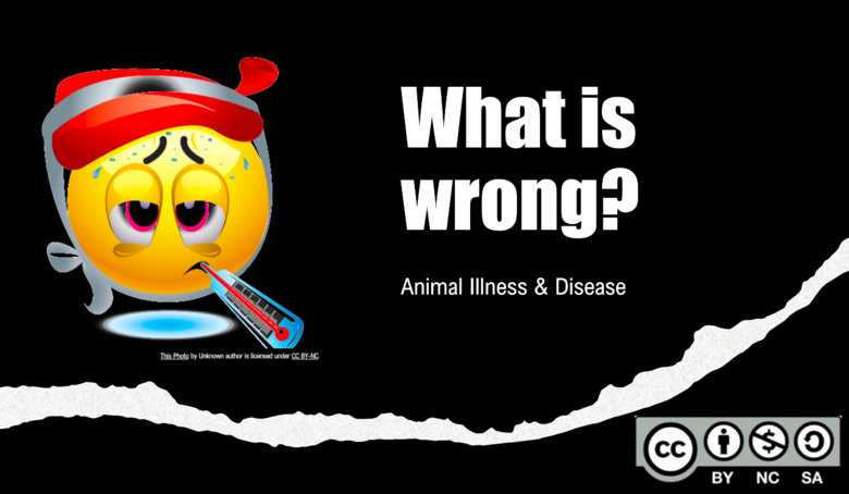 Illness & Disease in Animals