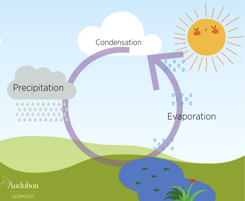 Earth's Water Cycle