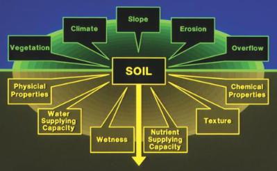 Soil Features