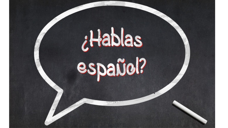 Spanish I - Introductory Spanish (2nd Edition)