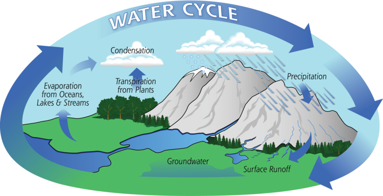 The Water Cycle