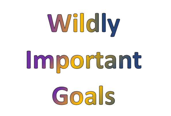 Wildly Important Goal Setting- WIG's