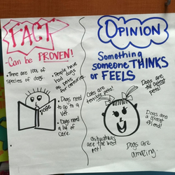 fact and opinion anchor chart