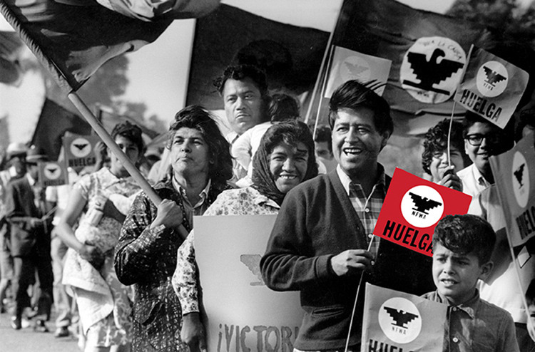Cesar Chavez, Dolores Huerta & La Causa:  The 1960s Movement for Farmworker Dignity - MULTIMEDIA ANTHOLOGY