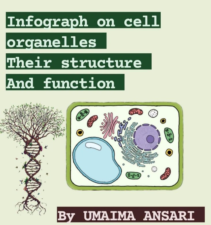 PLANT CELL ORGANELLES