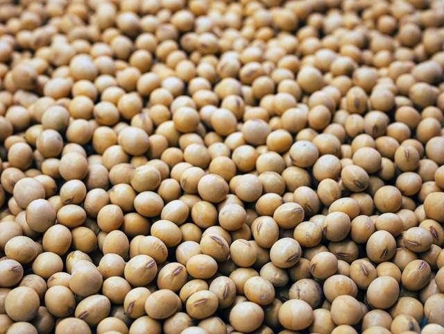 Food Science:  Soybean Alternative Food Uses