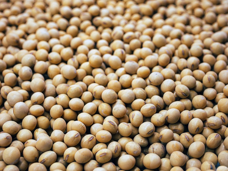 Nebraska Soybean FSS 1.1.4