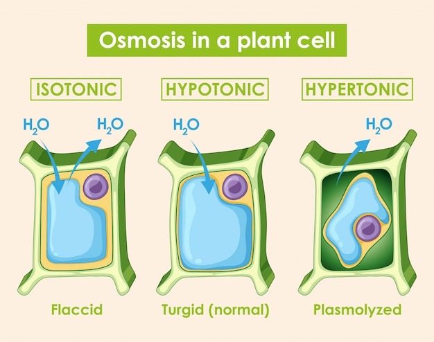 BIOLOGY