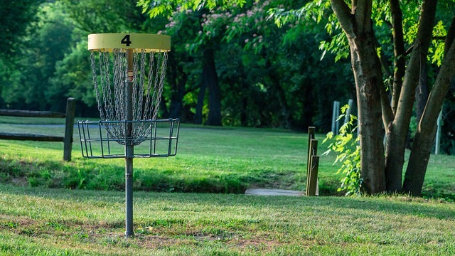 Adapted Frisbee Golf
