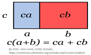 Number Properties