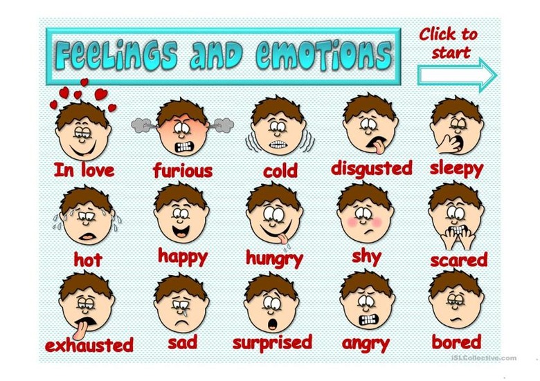 CALL INTERACTIVE LESSON PLAN (FEELINGS AND EMOTIONS)