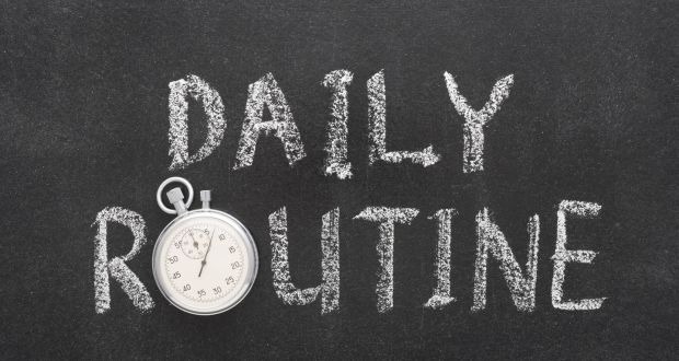 "Daily Routine" Lesson Plan