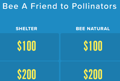 Bee A Friend to Pollinators Factile Game