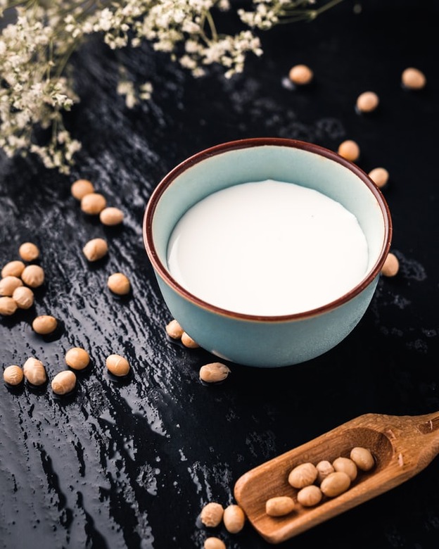 Food Science:  Plant-Based Milks