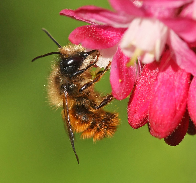 Grade 2 bee the change oer commons