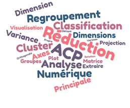 Séquence 1-Introduction à l'Analyse en Composante Principale avec le langage R- niveau débutant