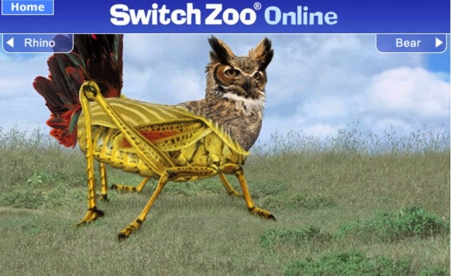 Switchzoo Animal Adaptations Lesson Plan