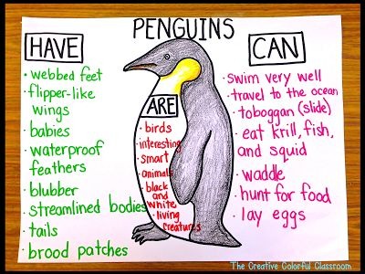 Penguins Study