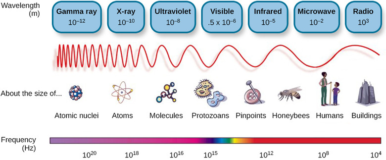 psychology-sensation-and-perception-waves-and-wavelengths-oertx