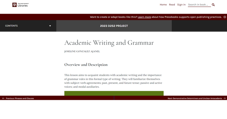 Grammar: Academic Writing and Grammar Lesson