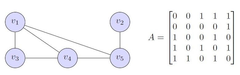 Notes for a First Course in Linear Algebra